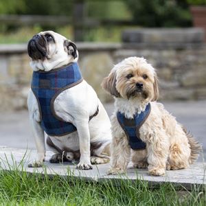 Shires Digby & Fox Tweed Dog Harness (XS, S) - (Navy Tweed)