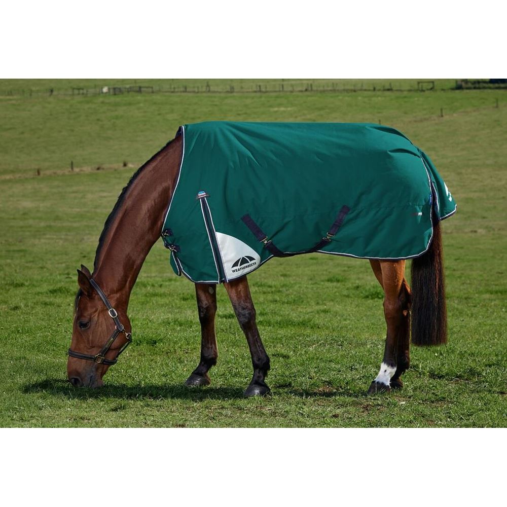 Weatherbeeta Comfitec Plus Dynamic Turnout Standard - 100g (Forest Green/Navy)