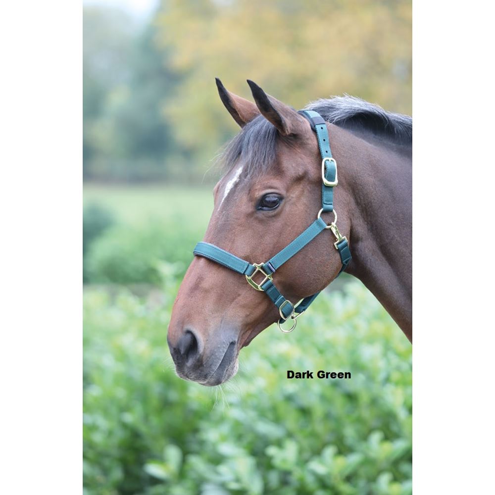 Shires Topaz Nylon Headcollar