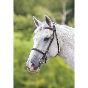 Shires Velociti GARA (Blenheim) Fancy Stitched Inhand Bridle