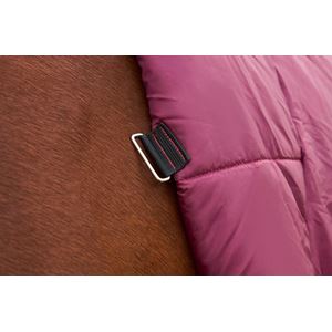 Weatherbeeta Comfitec Prelim Turnout Combo - 220g (Burgundy/Navy)