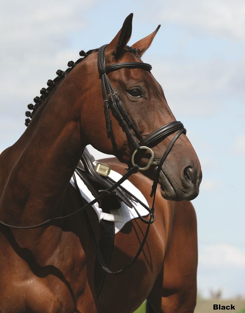 Collegiate Syntovia+ Padded Raised Flash Bridle