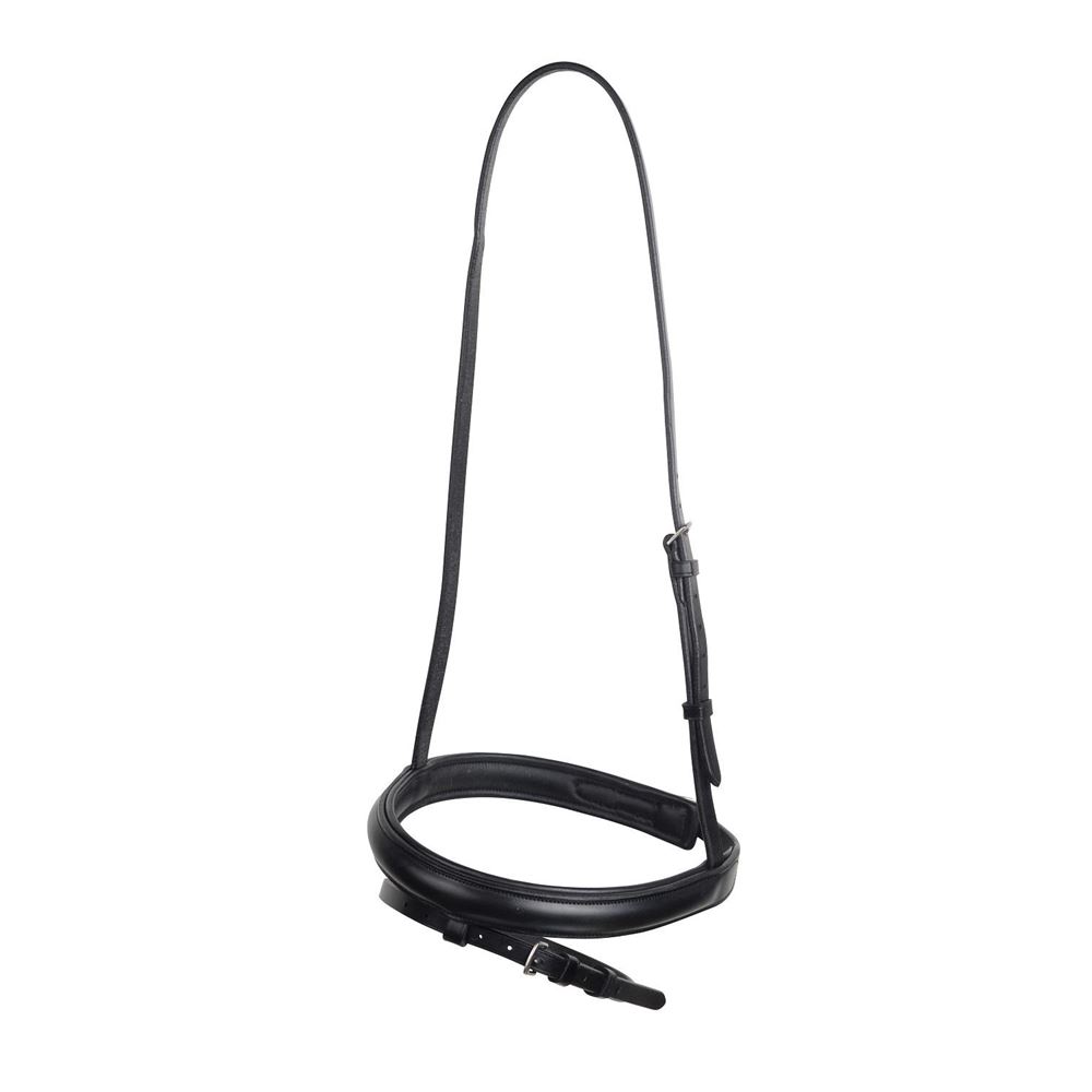 Collegiate Flash Noseband IV