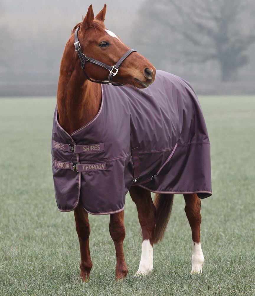 Shires Typhoon 100 Turnout Rug (Black Cherry)