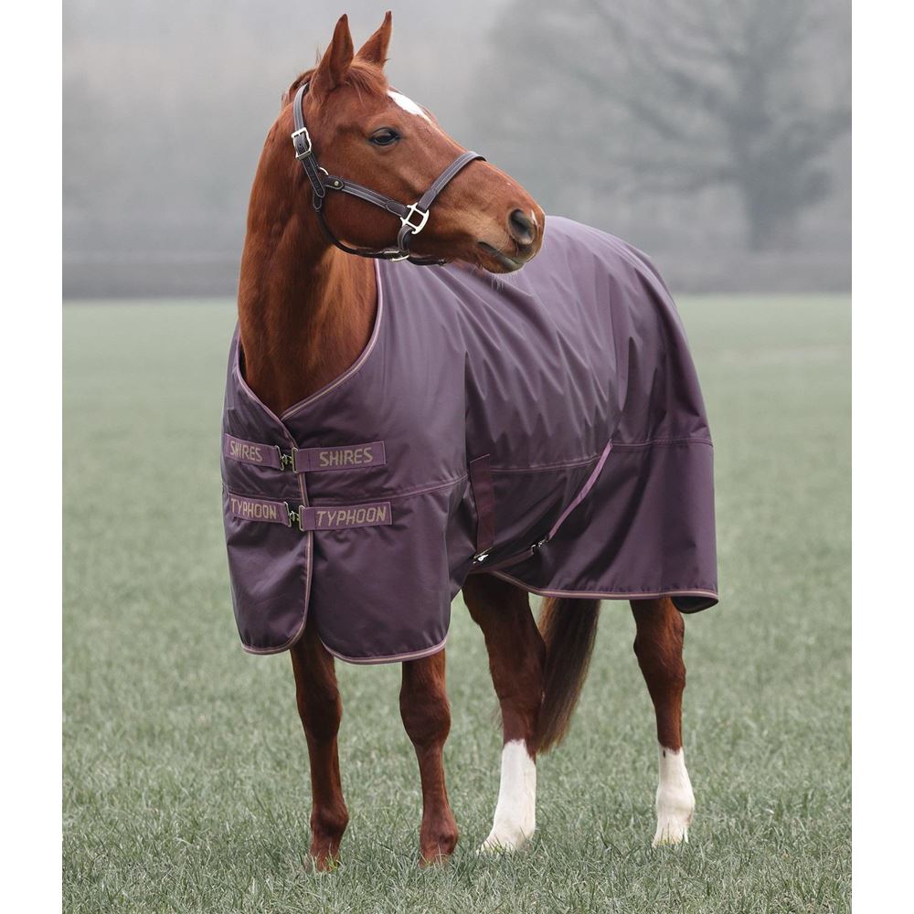 Shires Typhoon 100 Turnout Rug (Black Cherry)
