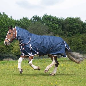 Gallop Trojan DURAPROOF 50 Turnout Combo (Navy/Pink)