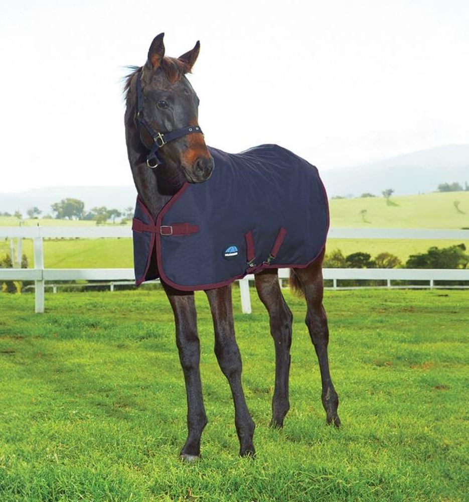 Weatherbeeta 1200D Foal Turnout Rug (Navy/Burgundy)