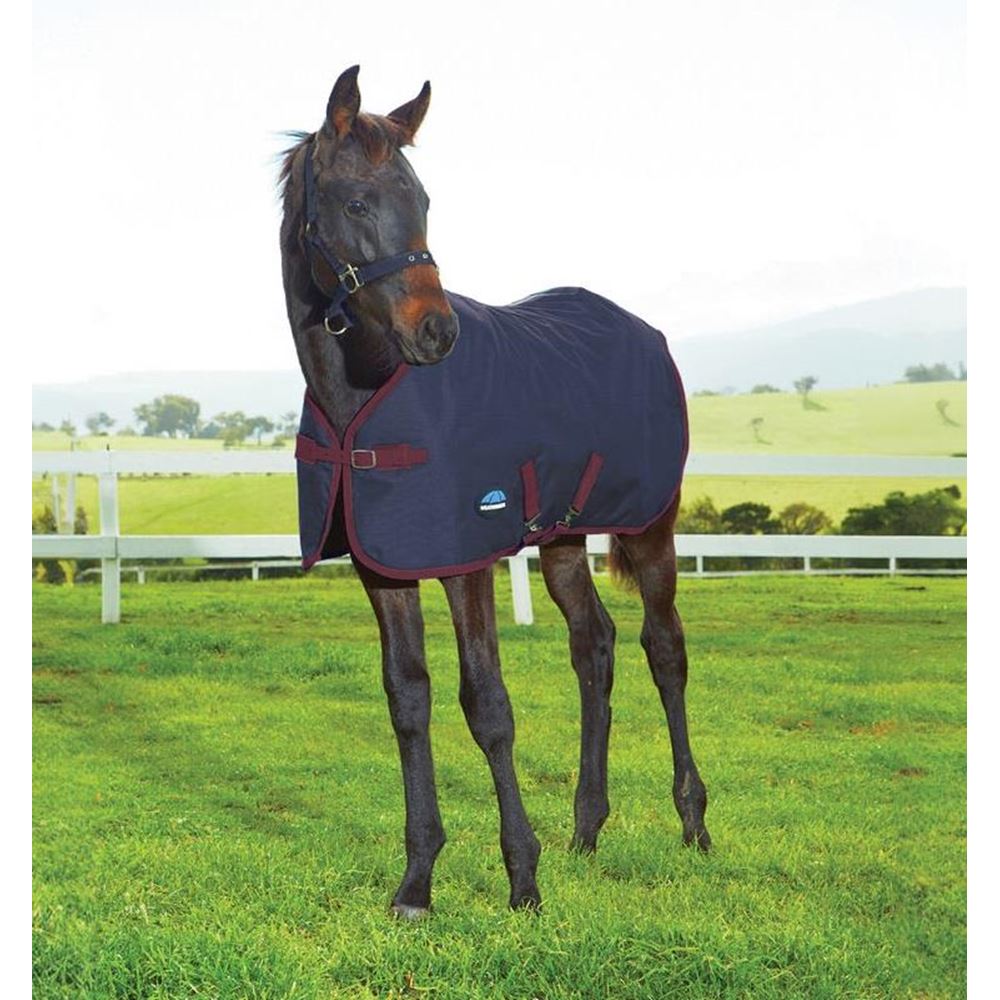 Weatherbeeta 1200D Foal Turnout Rug (Navy/Burgundy)