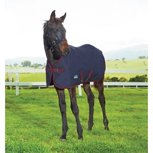 Weatherbeeta 1200D Foal Turnout Rug (Navy/Burgundy)