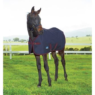 Weatherbeeta 1200D Foal Turnout Rug (Navy/Burgundy)