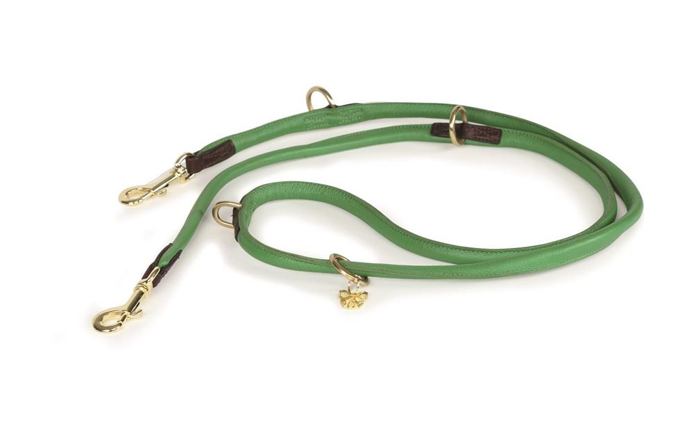 Shires Digby & Fox Rolled Leather Dog Training Lead