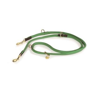 Shires Digby & Fox Rolled Leather Dog Training Lead