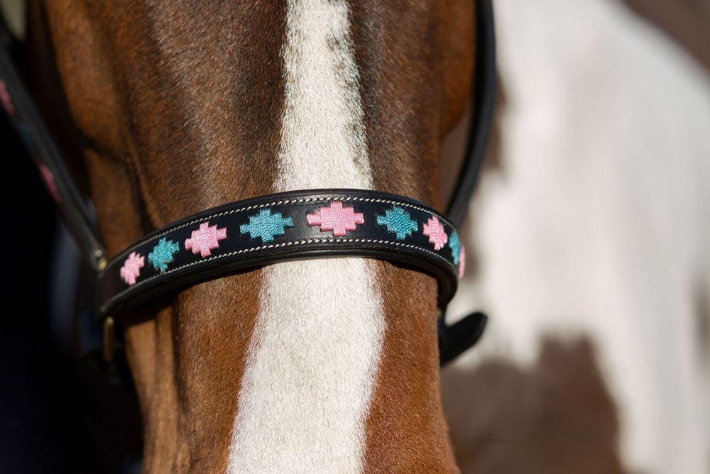 Gallop Premium Padded Leather Headcollar (Pink/Aqua)