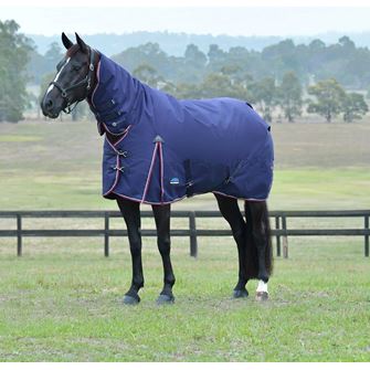 Weatherbeeta Comfitec Essential Turnout Combo - 50g (Navy/Burgundy)