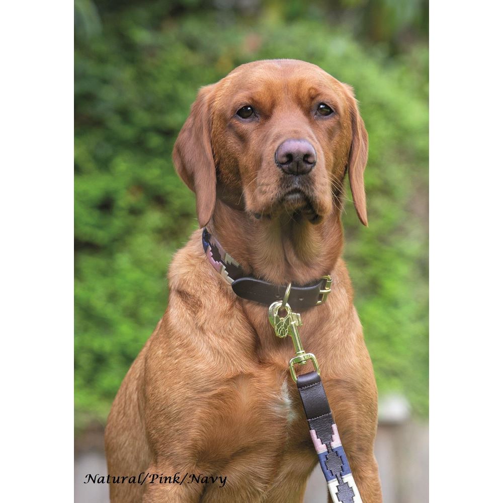 Shires Digby & Fox Drover Polo Dog Collar, M - XXL