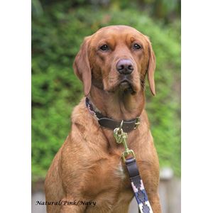 Shires Digby & Fox Drover Polo Dog Collar, M - XXL