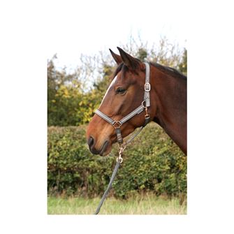 Hy Equestrian Rose Glitter Head Collar and Lead Rope Set (Grey)
