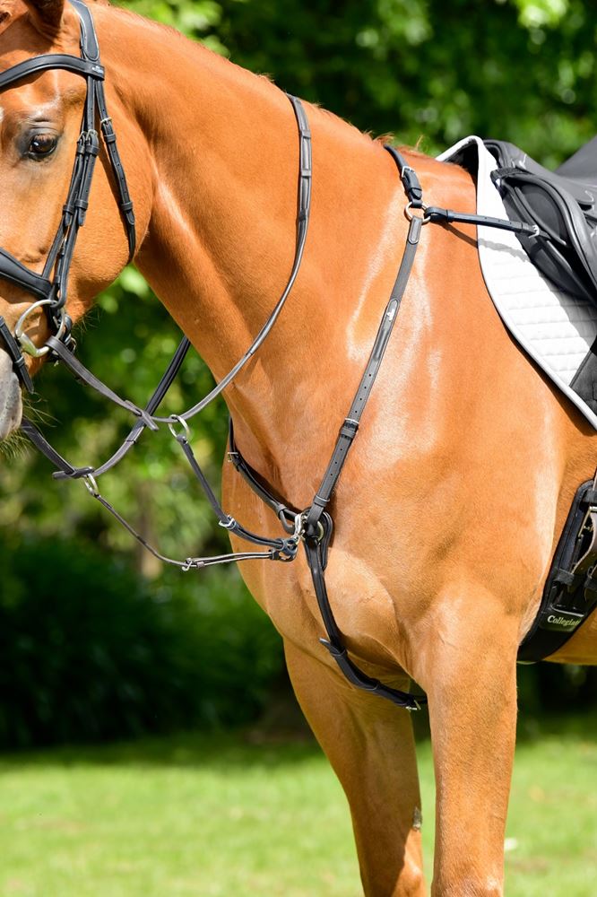 Weatherbeeta Collegiate Opulux 3-Point Padded Raised Breastplate