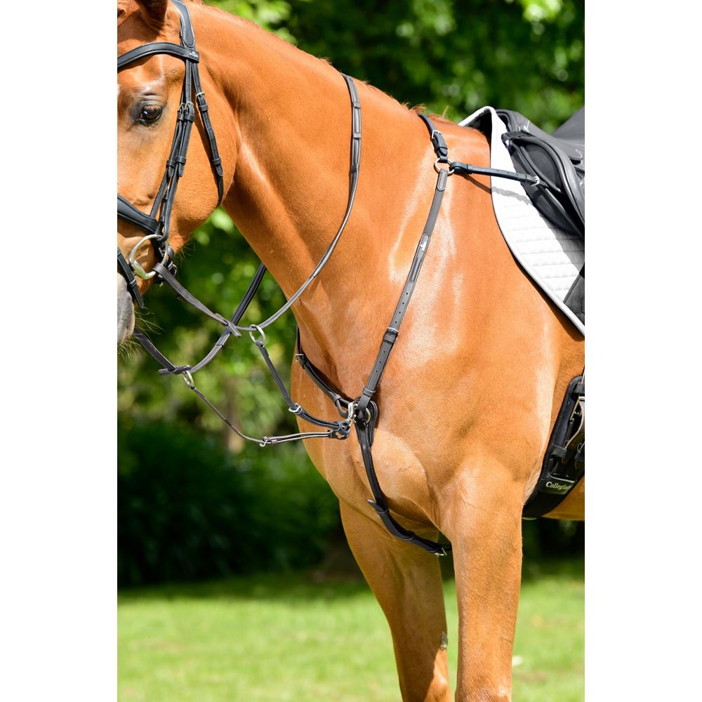 Weatherbeeta Collegiate Opulux 3-Point Padded Raised Breastplate