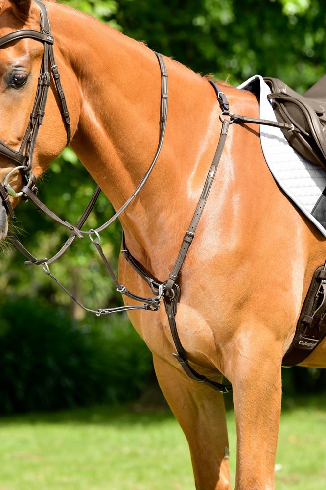 Weatherbeeta Collegiate Opulux 3-Point Padded Raised Breastplate