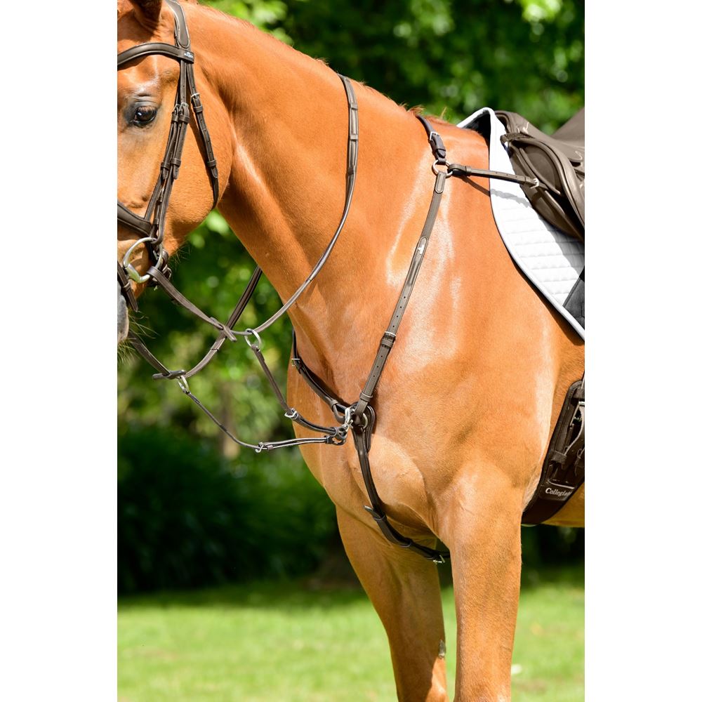 Weatherbeeta Collegiate Opulux 3-Point Padded Raised Breastplate