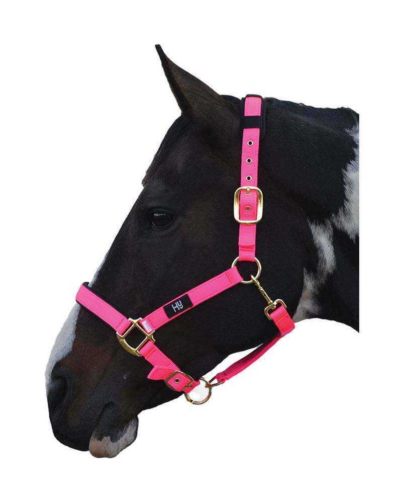 Hy Deluxe Padded Head Collar