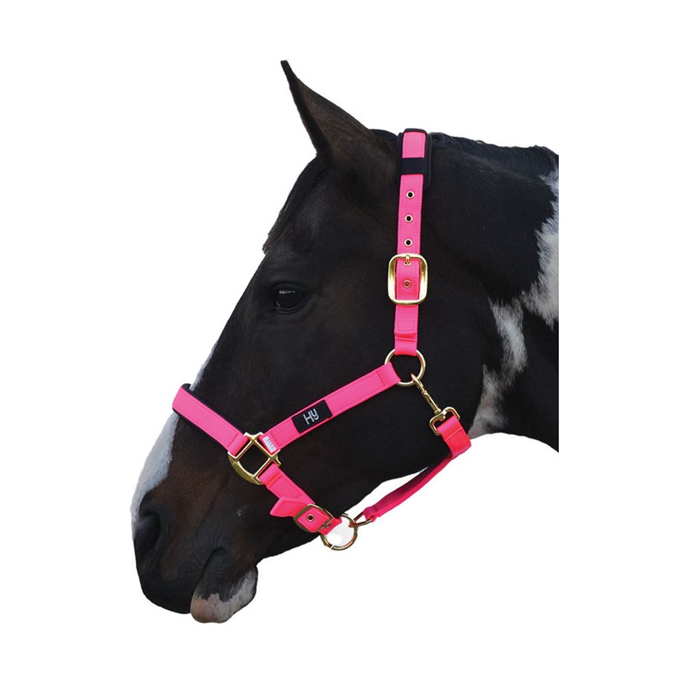 Hy Deluxe Padded Head Collar