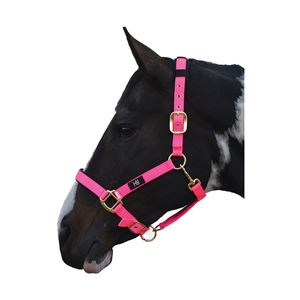 Hy Deluxe Padded Head Collar