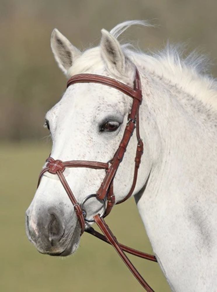 Shires Avignon Grackle Noseband (Oak)