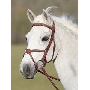 Shires Avignon Grackle Noseband (Oak)