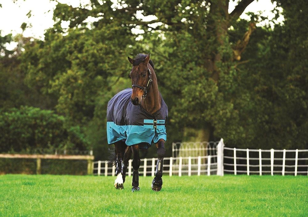 Horseware Amigo Mio Turnout Medium