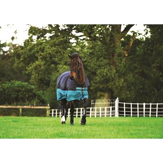 Horseware Amigo Mio Turnout Medium - 200g (Black/Turquoise & Black) *Clearance*