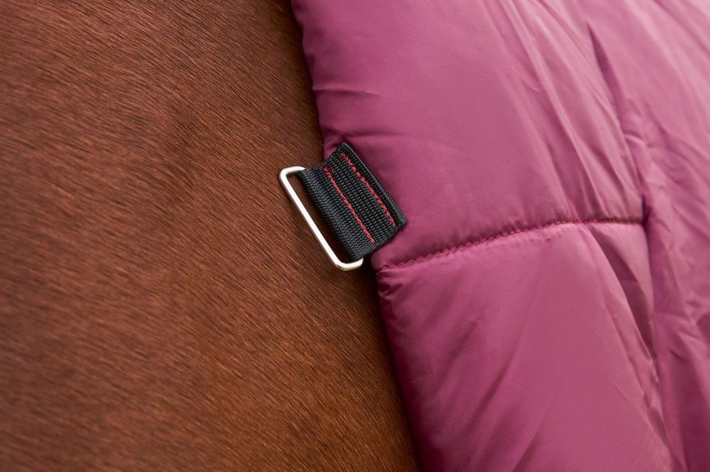 Weatherbeeta Comfitec Prelim Turnout Combo - 0g (Burgundy/Navy)