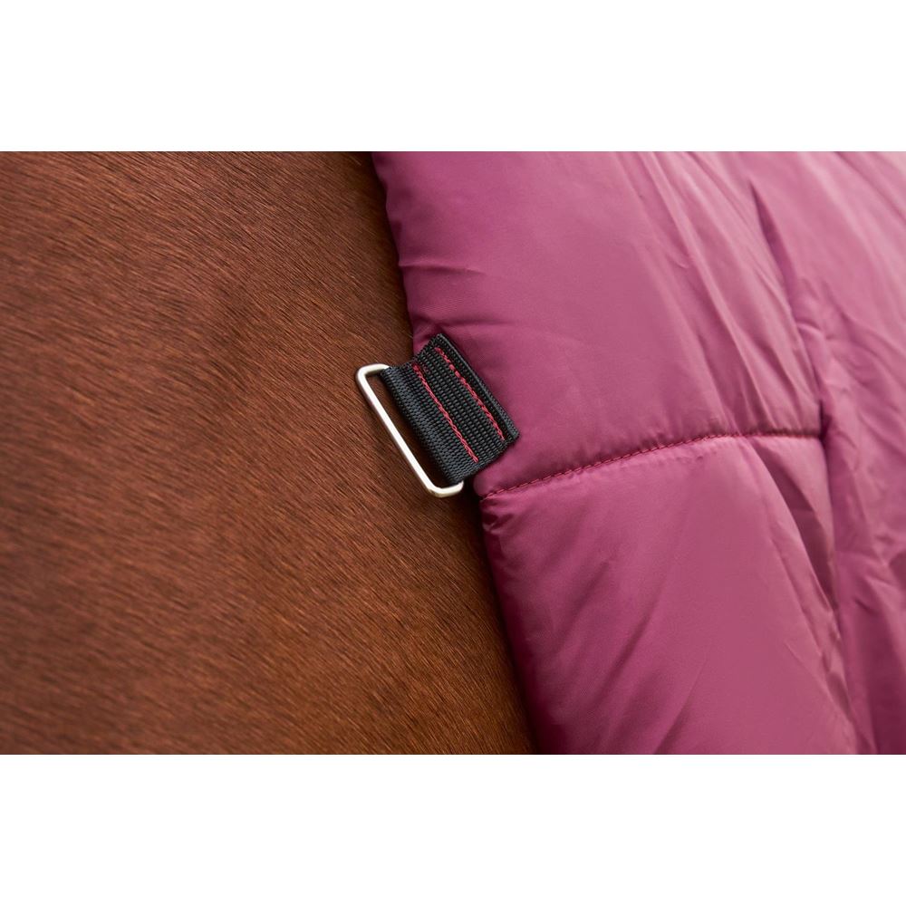 Weatherbeeta Comfitec Prelim Turnout Combo - 0g (Burgundy/Navy)