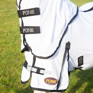 Gallop Ponie Dual 5-Point Fly Rug & Neck Set