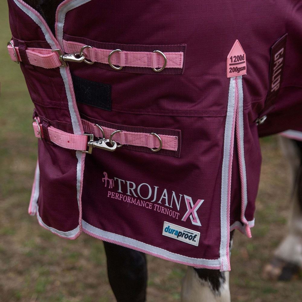 Gallop TROJAN Xtra Duraproof 200g 5-Point Standard Neck Turnout (Burgundy with Pink/White bindings)