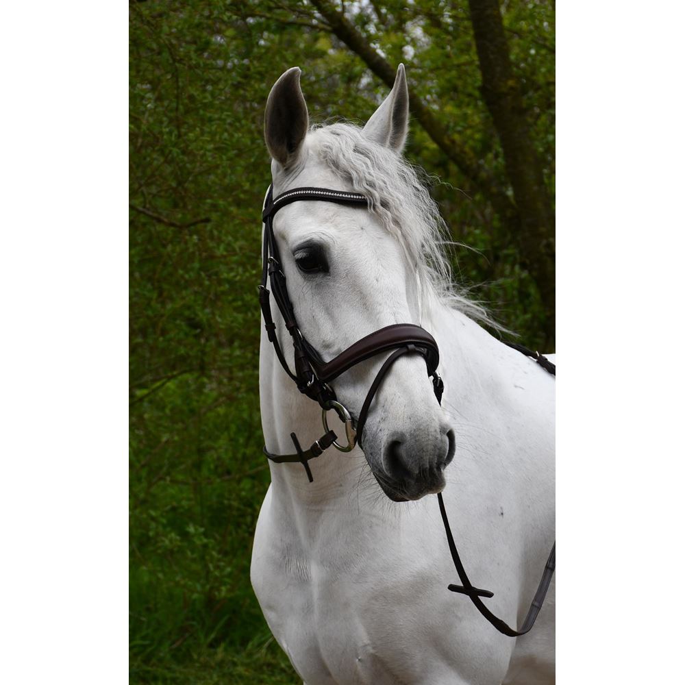 Rhinegold Luxe Anatomical Leather Flash Bridle