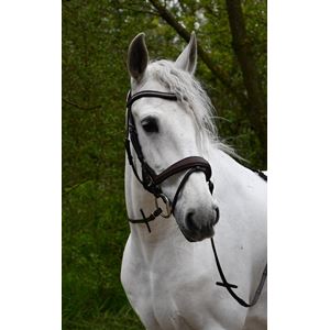 Rhinegold Luxe Anatomical Leather Flash Bridle