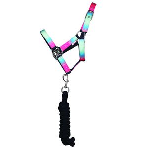 Dazzling Diamond Head Collar & Lead Rope Set by Little Rider (Navy)