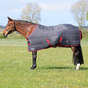 Hy Equestrian HYCONIC 250g Stable Rug (Charcoal/Red)
