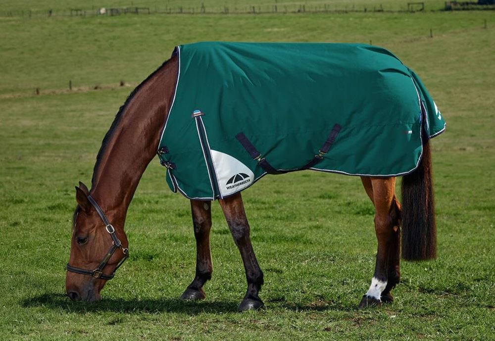 Weatherbeeta Comfitec Plus Dynamic Turnout Standard - 0g (Forest Green/Navy)