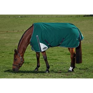 Weatherbeeta Comfitec Plus Dynamic Turnout Standard - 0g (Forest Green/Navy)