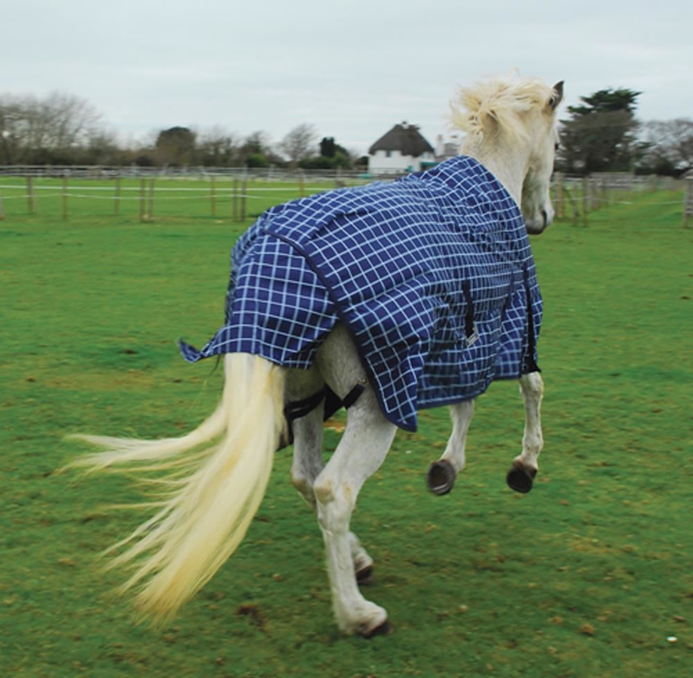 Rhinegold Atlanta Lightweight Fleece Lined Outdoor Rug - 0g (Navy Check)