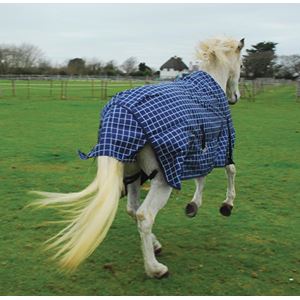 Rhinegold Atlanta Lightweight Fleece Lined Outdoor Rug - 0g (Navy Check)