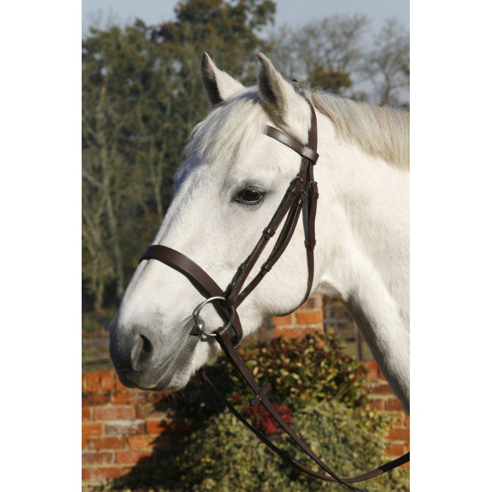 Plain Cavesson Bridle with Reins