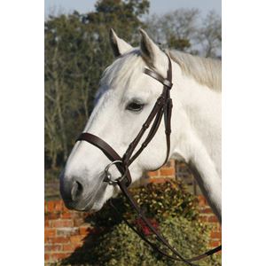 Plain Cavesson Bridle with Reins