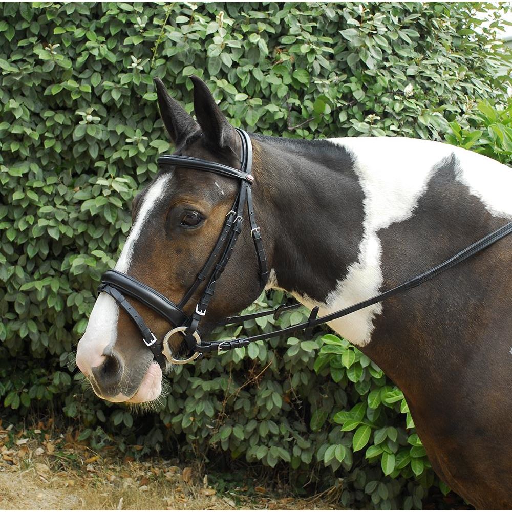 Windsor Leather Comfort Bridle With Crank Style Flash Noseband