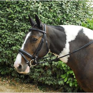 Windsor Leather Comfort Bridle With Crank Style Flash Noseband