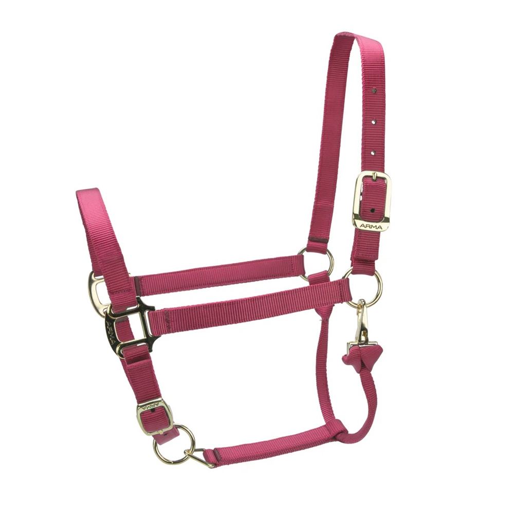Shires ARMA Premium Adjustable Headcollar (Red)