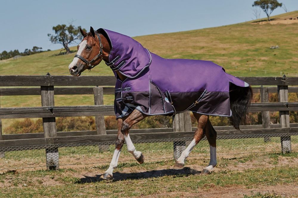 Weatherbeeta ComFitec Plus Dynamic Detach-A-Neck Lite Turnout Rug